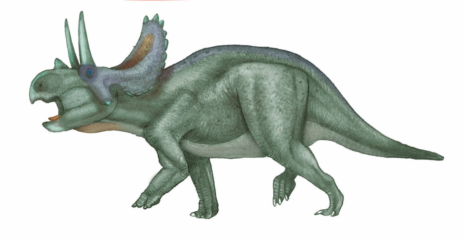 Resultado de imagen de agujaceratops