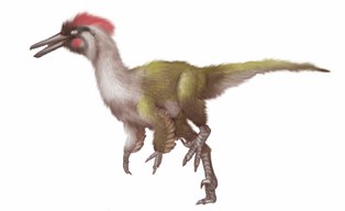buitreraptor.jpg
