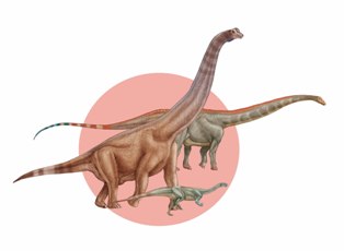 sauropodomorphos.jpg