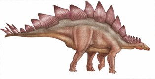stegosaurus.jpg