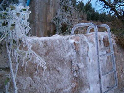 Estampa invernal en el barranco, justo debajo de la acequia. FOTO: J.A. Hern�ndez