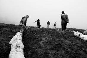 coltan-judithprat13.jpg