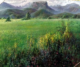 lamenca(23).jpg