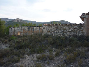 cementerio2009-(2).jpg