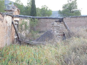 cementerio2009-(5).jpg