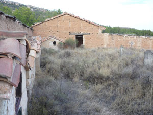 cementerio2009-(15).jpg
