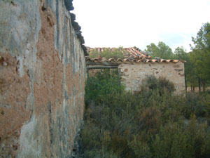 cementerio2009-(42).jpg