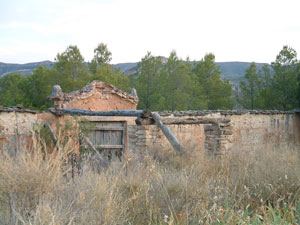 cementerio2009-(44).jpg