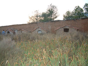 cementerio2009-(46).jpg