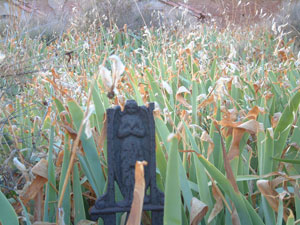 cementerio2009-(58).jpg
