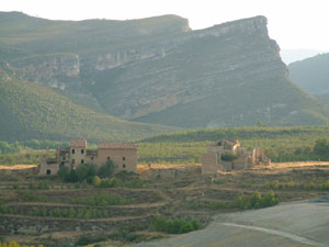 cementerio2009-(32).jpg