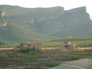 cementerio2009-(33).jpg