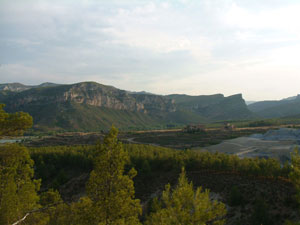 cementerio2009-(34).jpg