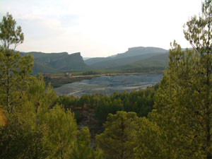 cementerio2009-(36).jpg
