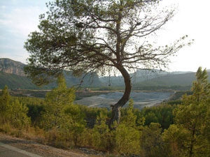 cementerio2009-(37).jpg
