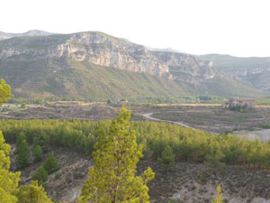 cementerio2009-(65).jpg