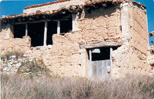 corral-tio-gil.jpg