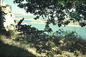 placeta-cabezuelo.jpg