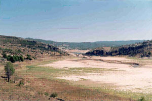 pantano-seco.jpg