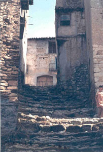 42-costera-rufas.jpg