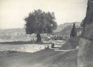 91-ruinas.jpg