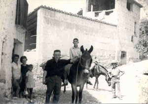 0071.1-Placeta-del-Lango.jpg