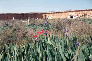 interior-cementerio.jpg