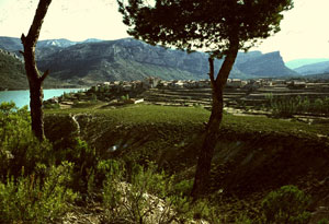 0271-Cementerio-y-Santolea.jpg