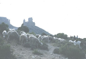 El-Morron.jpg