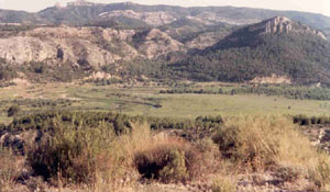 huerta.jpg