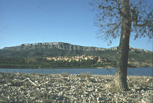 Panoramica-2.jpg