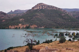 vista2.jpg