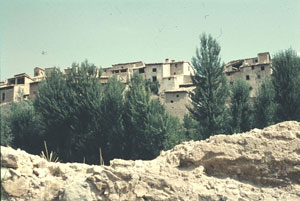 Vista-sur.jpg