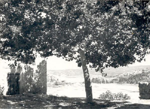 otra-cabezuelo.jpg